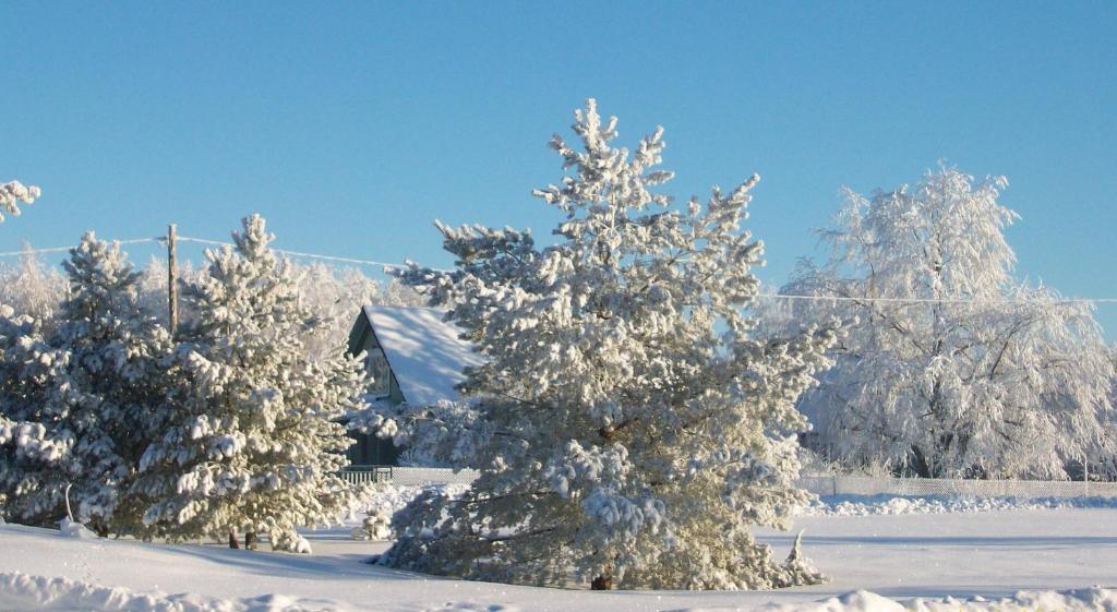 Kelluka Holiday House Parispea Экстерьер фото