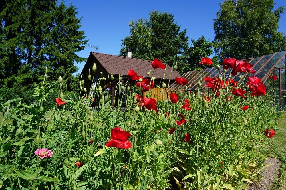 Kelluka Holiday House Parispea Экстерьер фото